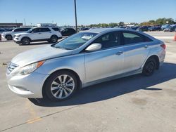 Hyundai Sonata salvage cars for sale: 2013 Hyundai Sonata SE