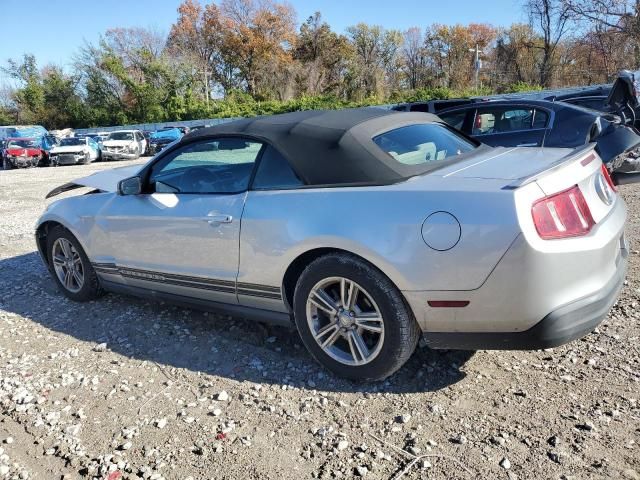 2010 Ford Mustang