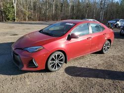 Toyota Corolla salvage cars for sale: 2017 Toyota Corolla L