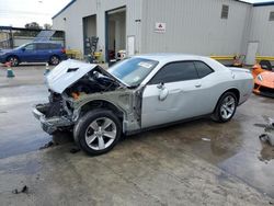 Dodge salvage cars for sale: 2019 Dodge Challenger SXT