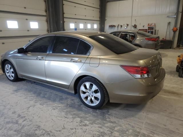 2008 Honda Accord EXL