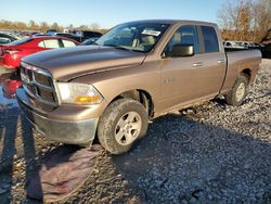 Dodge ram 1500 salvage cars for sale: 2010 Dodge RAM 1500