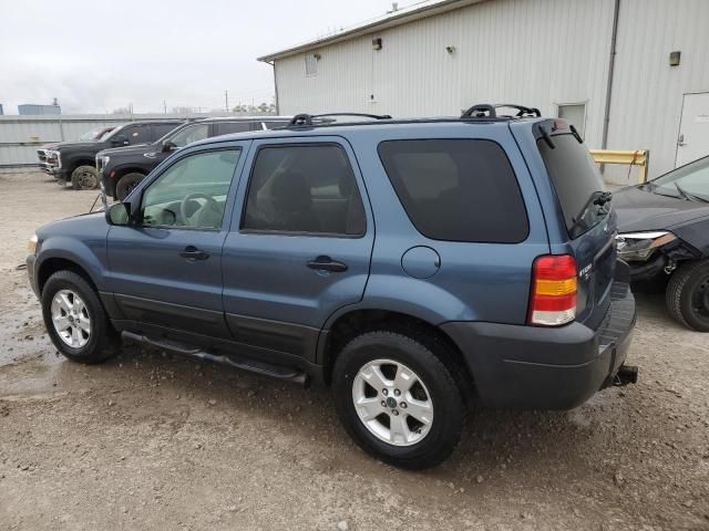 2005 Ford Escape XLT