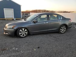 Honda salvage cars for sale: 2009 Honda Accord EXL