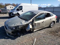 Ford Focus salvage cars for sale: 2016 Ford Focus SE