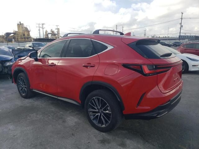 2024 Lexus NX 250 Base