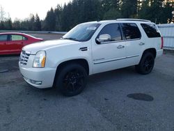 Cadillac salvage cars for sale: 2008 Cadillac Escalade Luxury