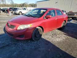 Toyota Corolla salvage cars for sale: 2010 Toyota Corolla Base