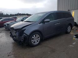 Honda Odyssey salvage cars for sale: 2016 Honda Odyssey SE