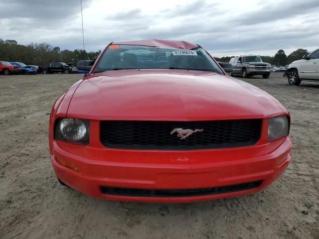 2006 Ford Mustang