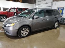 Honda Odyssey exl salvage cars for sale: 2014 Honda Odyssey EXL