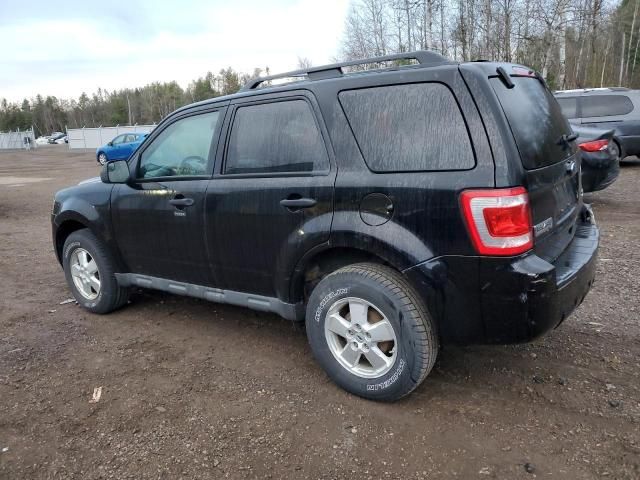 2010 Ford Escape XLT