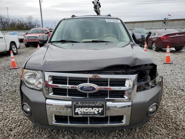 2011 Ford Escape Limited