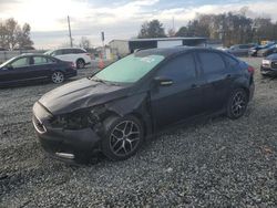 Ford Focus salvage cars for sale: 2017 Ford Focus SEL