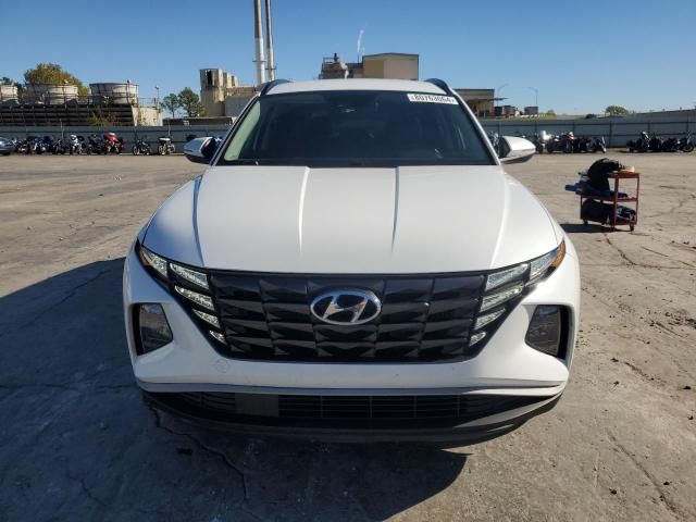 2022 Hyundai Tucson Blue