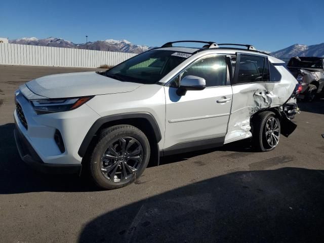 2024 Toyota Rav4 XLE Premium