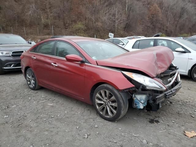 2011 Hyundai Sonata SE