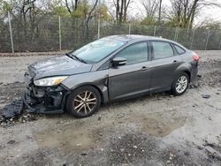 Ford Focus salvage cars for sale: 2016 Ford Focus SE