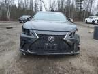 2022 Lexus ES 350 F Sport