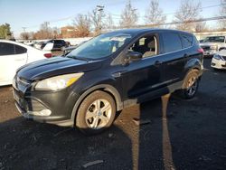 Ford Vehiculos salvage en venta: 2013 Ford Escape SE