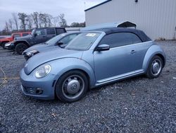 Volkswagen Beetle salvage cars for sale: 2016 Volkswagen Beetle S/SE