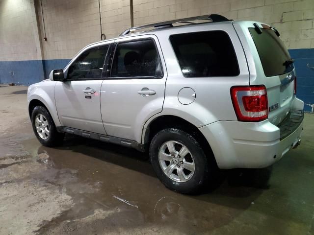 2010 Ford Escape Limited