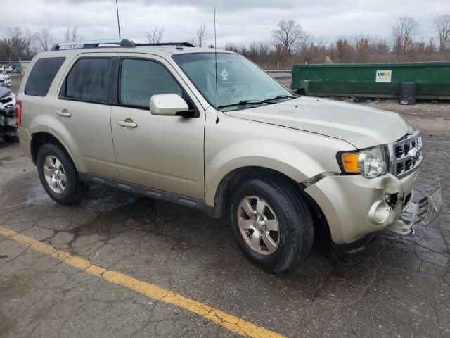 2010 Ford Escape Limited