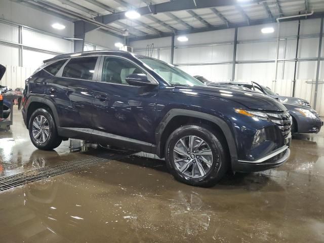 2022 Hyundai Tucson Blue