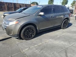 Ford Edge salvage cars for sale: 2014 Ford Edge SEL