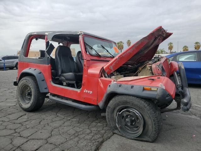 1995 Jeep Wrangler / YJ S