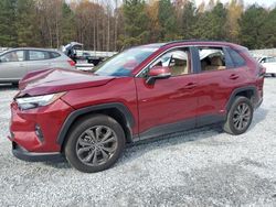 Toyota rav4 salvage cars for sale: 2024 Toyota Rav4 XLE Premium