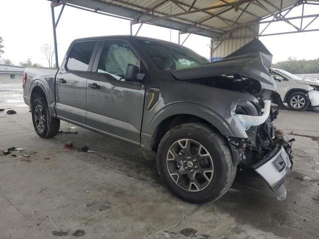 2024 Ford F150 STX