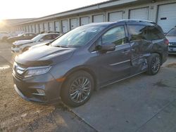 Honda Odyssey salvage cars for sale: 2020 Honda Odyssey Elite