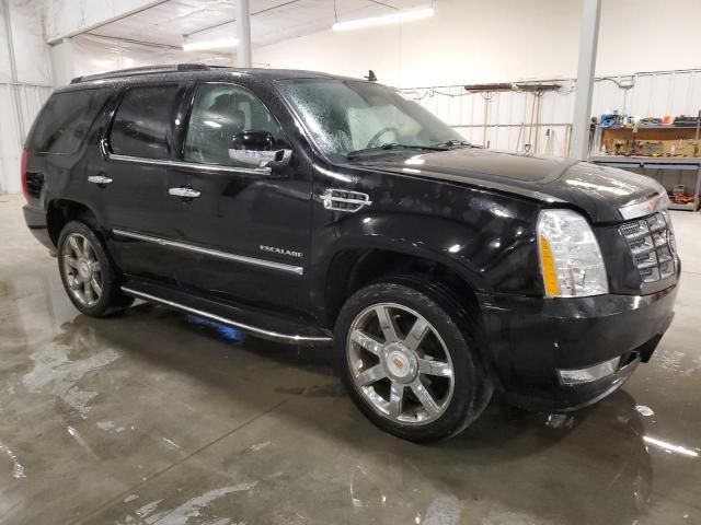 2013 Cadillac Escalade Luxury