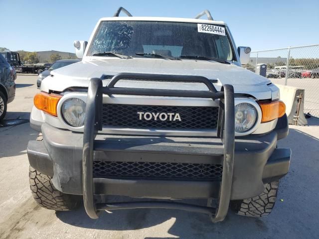 2007 Toyota FJ Cruiser