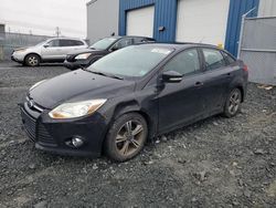 2014 Ford Focus SE en venta en Elmsdale, NS