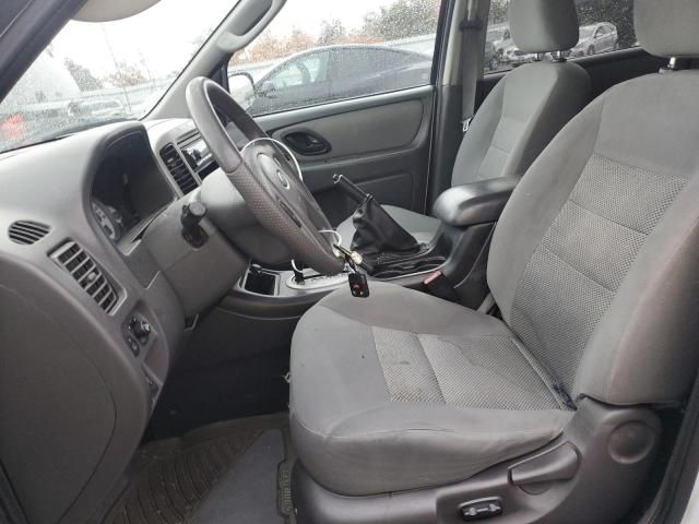 2006 Ford Escape XLT