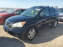 Honda crv salvage cars for sale: 2010 Honda CR-V EXL