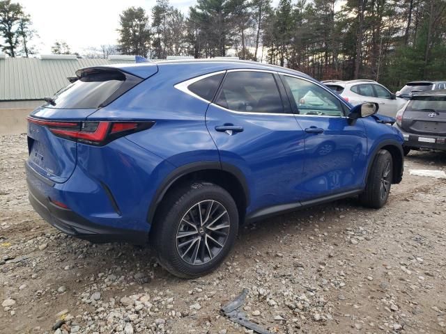 2025 Lexus NX 350H Base