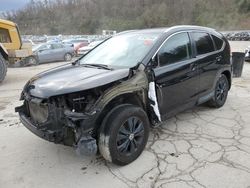 Honda Vehiculos salvage en venta: 2014 Honda CR-V EXL