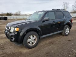 Ford Escape salvage cars for sale: 2010 Ford Escape XLT