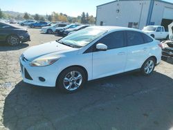 Ford Focus salvage cars for sale: 2013 Ford Focus SE