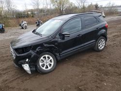 Ford Ecosport salvage cars for sale: 2020 Ford Ecosport SE