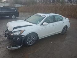 Honda Accord salvage cars for sale: 2012 Honda Accord EXL