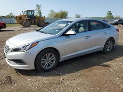 Hyundai Sonata salvage cars for sale: 2016 Hyundai Sonata SE