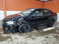 Salvage cars for sale from Copart Rocky View County, AB: 2008 Toyota Corolla CE