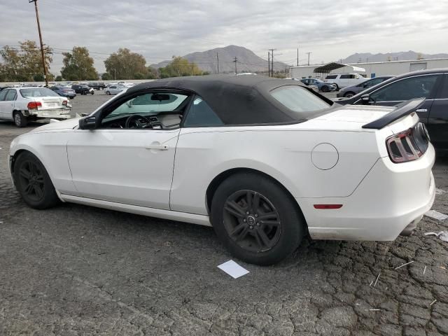 2013 Ford Mustang