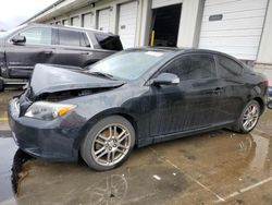 Scion salvage cars for sale: 2005 Scion TC