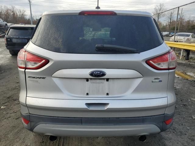 2013 Ford Escape SE