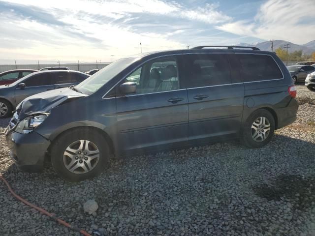 2005 Honda Odyssey EXL